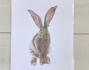 Rabbit Watercolor Print | Realistic | Bunny | Nature | Hare | Animals | Wildlife | Cute | Pets | Furry | Soft