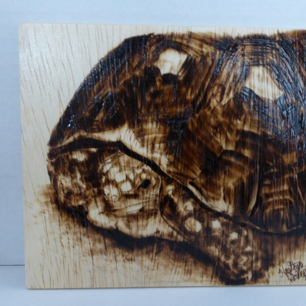 Unique, One of a kind, Tortoise Woodburning Art.  Pyrography Tortoise picture- OOAK- Salvaged and upcycled wood