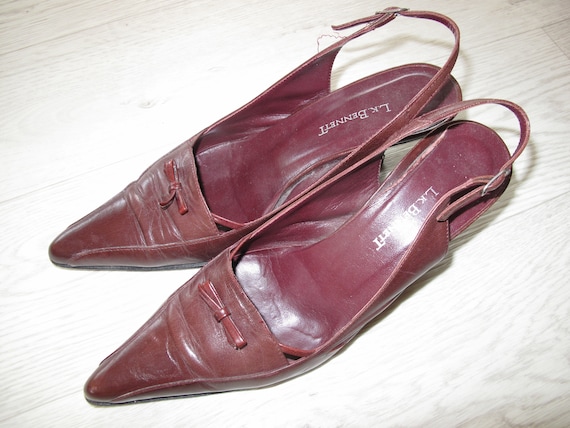 burgundy kitten