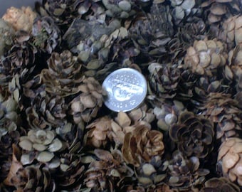 Mini piñas, corona navideña, decoración, suministros, adorno, cicuta