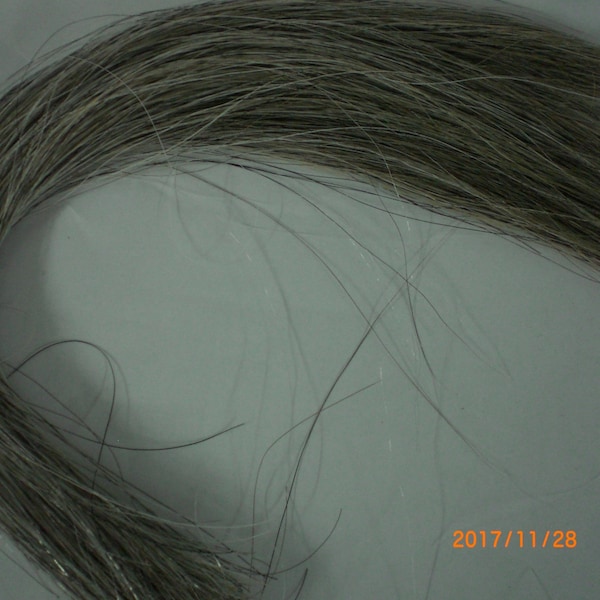 Horse Hair, Natural Silver Gray, 13-14 Inches, 1 Ounce Packages