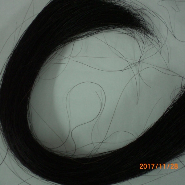 Horse Hair, Natural Black, 22-26 Inches, 1/4 Pound Packages