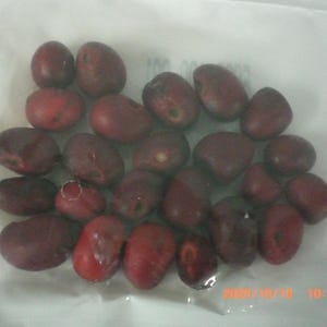 Puede incluir: Un conjunto de semillas ovaladas de color rojo oscuro, posiblemente granos de café o similares, se encuentran sobre una superficie blanca. Las semillas varían ligeramente en tamaño y tono.