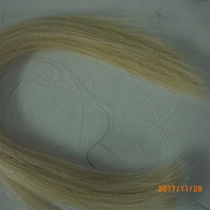 Horse Hair, Natural White, 22-26" Inches, 1 Ounce Packages