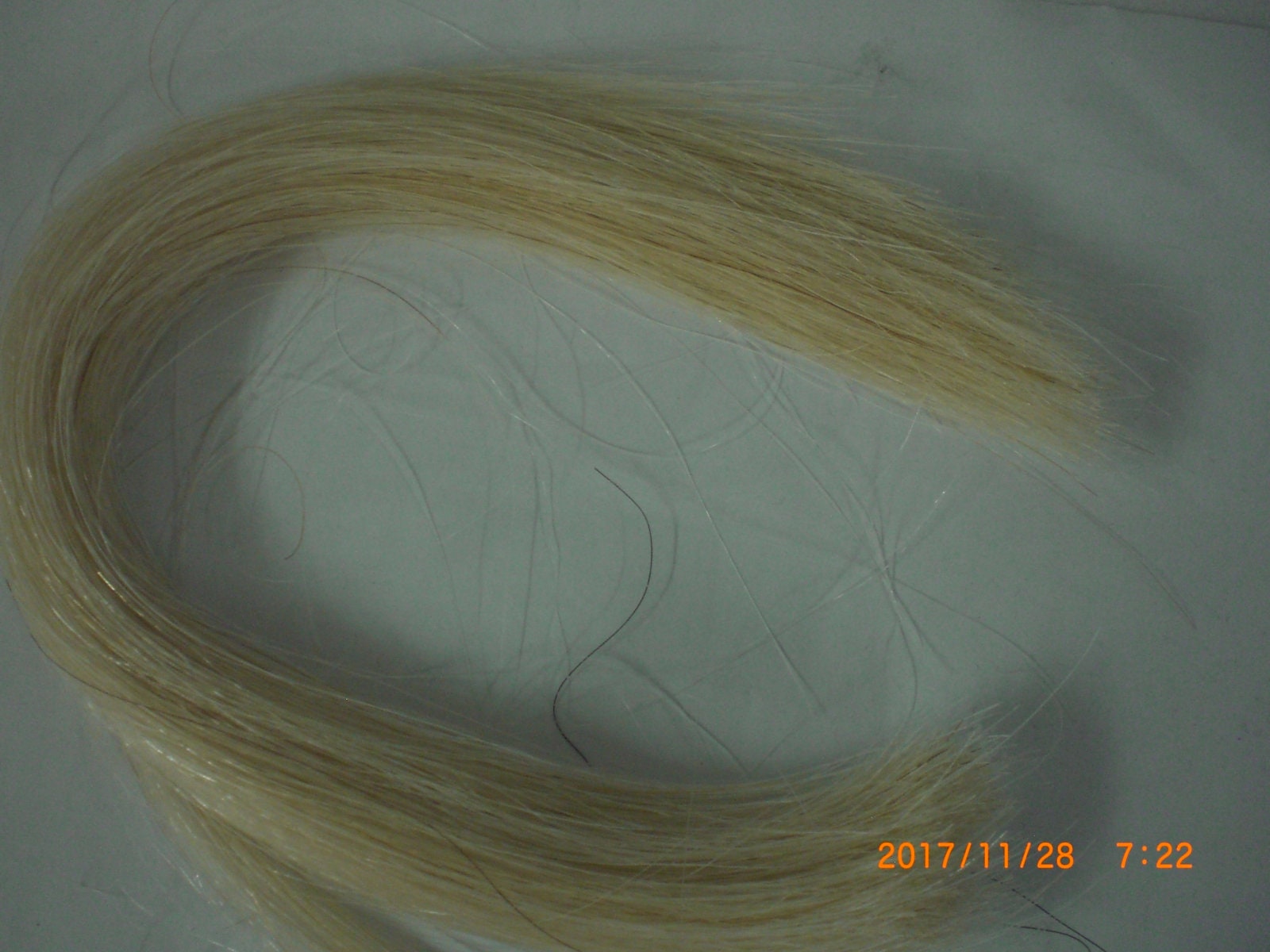 13-15 Inch Natural White Horse Hair 1 Ounce