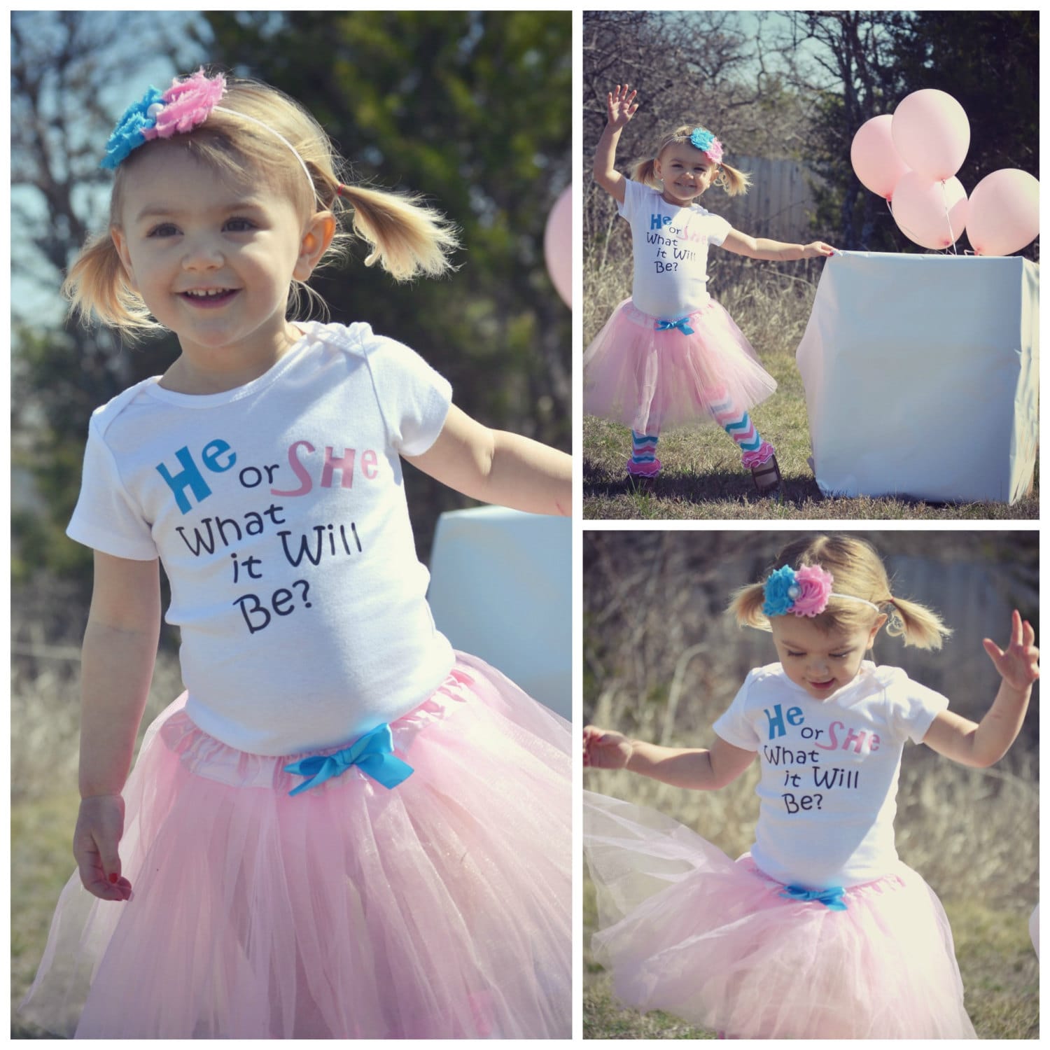 Gender Reveal Party Baby outfit He or She What will it be Etsy