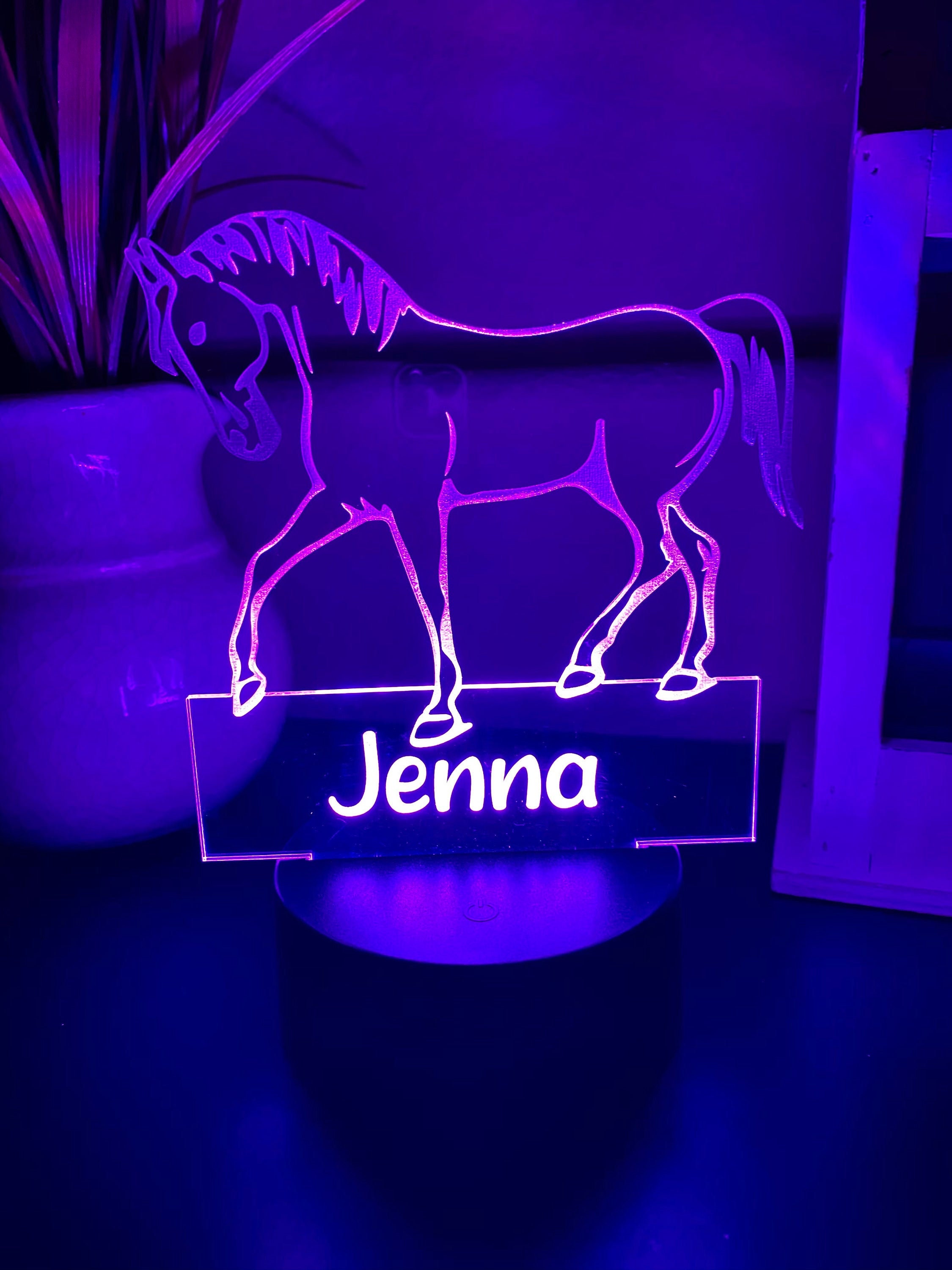 LED Neon Dinosaur Name Sign for Kid's Room 18 Colors