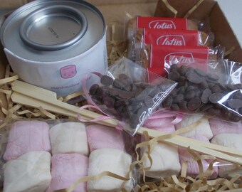 Vegan S’mores Kit gift box Marshmallow Toasting Kit indoor or outdoor fun activity