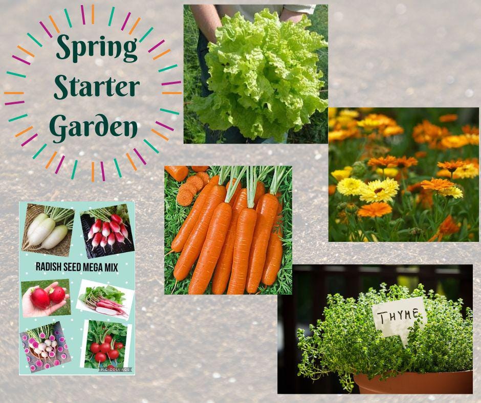 Spring Starter Garden Seeds - A great way to jumpstart your gardening year! Veggies, Flowers & Herb Seeds included!