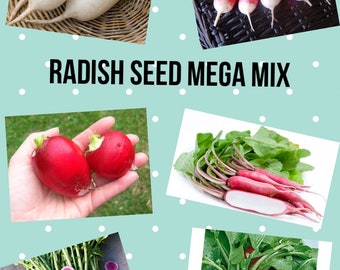 Radish Seed Mega Mix -- SIX varieties!!