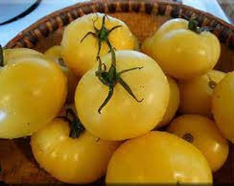 Tomato - Golden Queen Tomato seeds