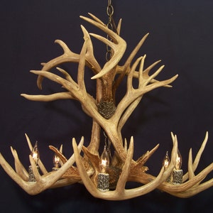 Legend Antler Designs &quot;Wind River&quot; Whitetail Mule  Deer  Antler Chandelier!!!