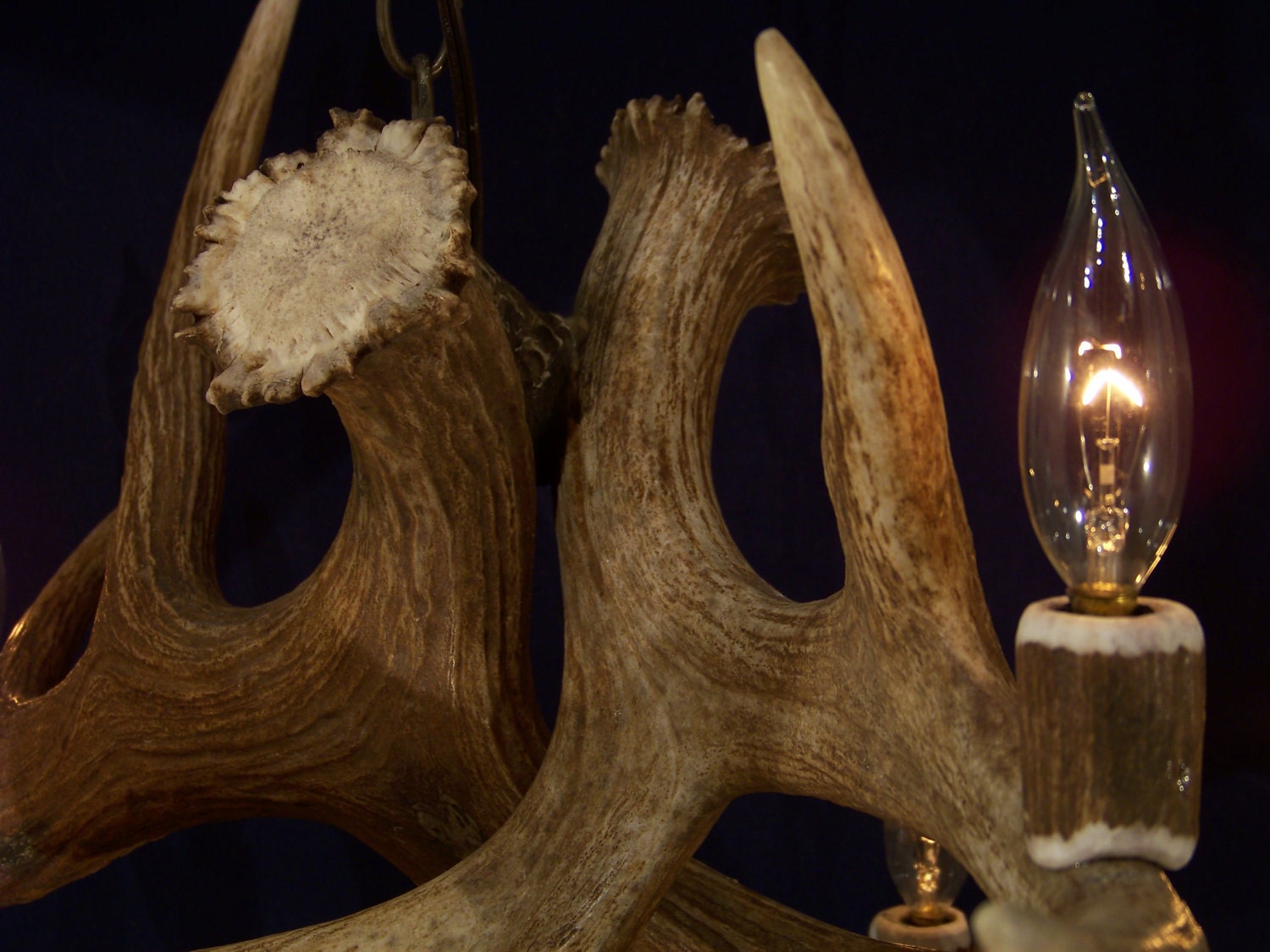 Moose six antler chandelier deals