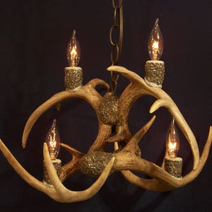 Legend Antler Designs &quot;Cedar Canyon&quot; Four light  Style  Shed Whitetail Deer Antler chandelier 17x17