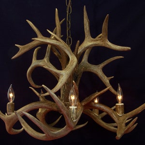 Legend Antler Designs &quot;The Lochsa&quot; Fountain  Style Whitetail Deer  Antler Chandelier Light Lamp Fixture