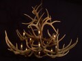 Legend Antler Designs "Slate Creek"   Antler Chandelier. See the NEW SIZES!!   Celebrating 25 years of Antler Chandeliers.