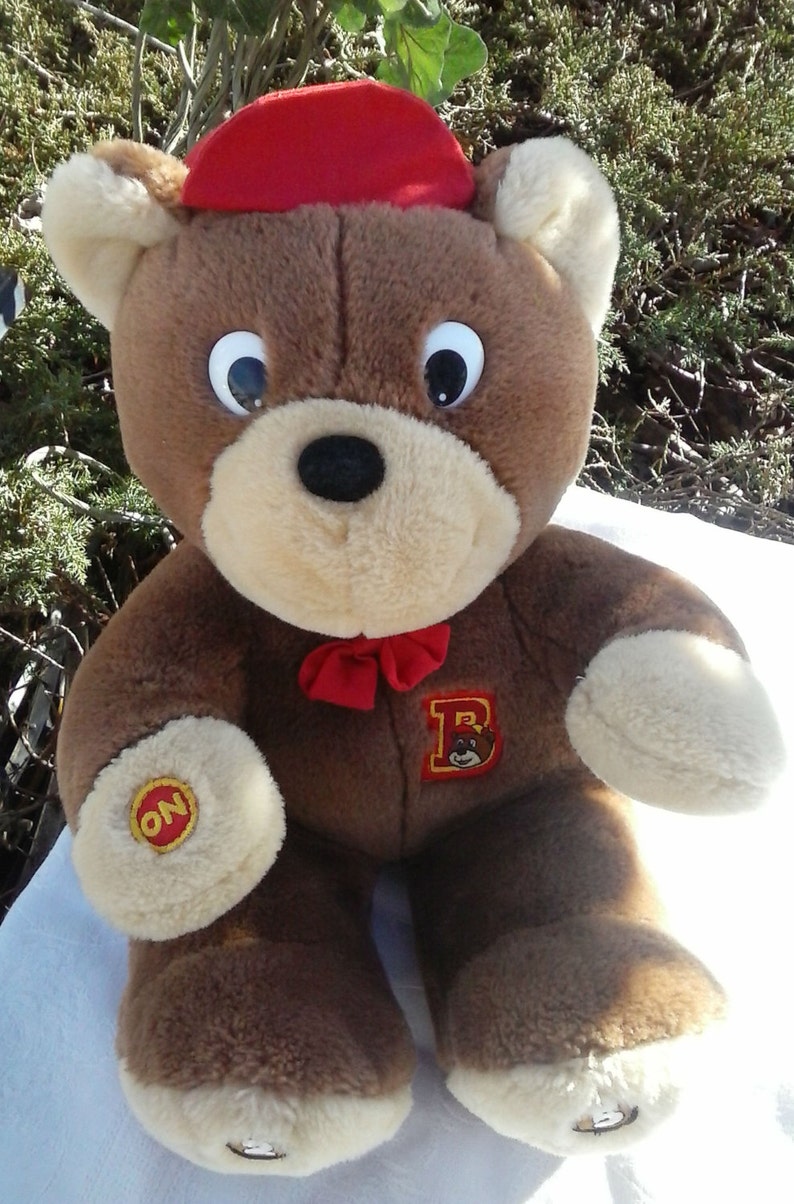 talking teddy