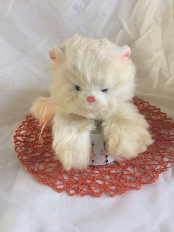 white cat teddy