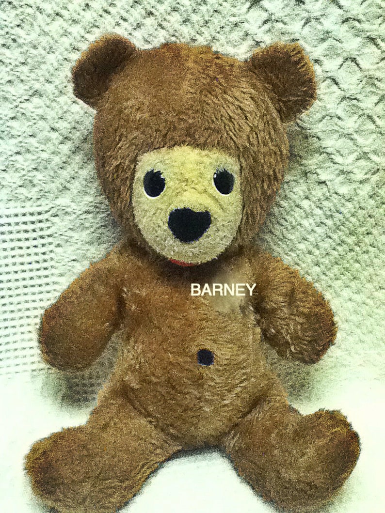 barney me and my best teddy bear