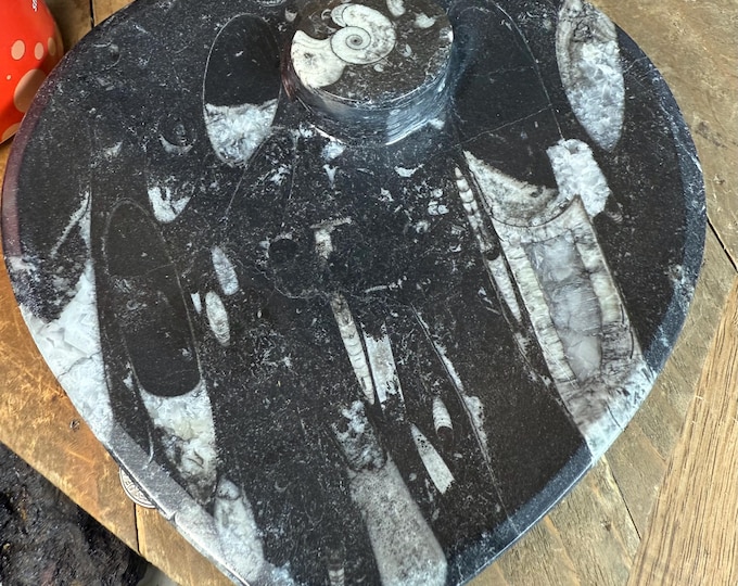 BIG Natural Ammonite and Orthoceras Fossil Heart Plate, Metaphysical Healing rt4