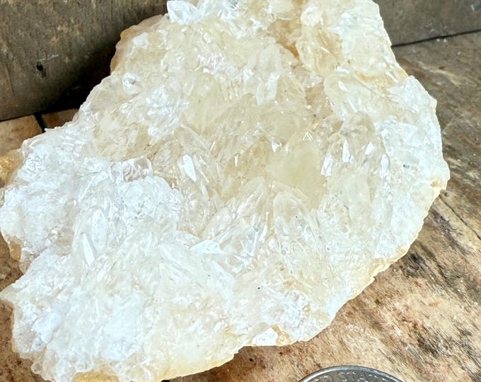 Dogtooth Calcite Geode  dogtooth calcite crystal geode 3.2 inches