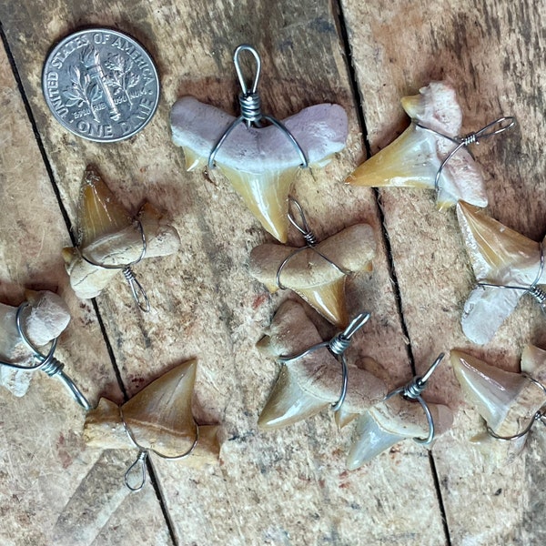 10 pieces fossil shark's teeth pendents wire wrap jewelry