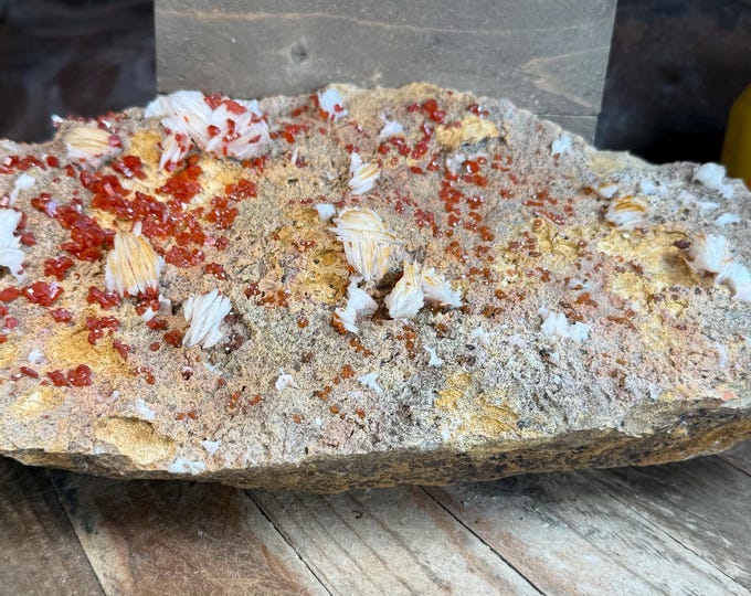 big Vanadinite and Barite Crystal Cluster – Specimen from Morocco | Handpicked ,Collectors & Home Décor  11.5 inch 8.9 lbs