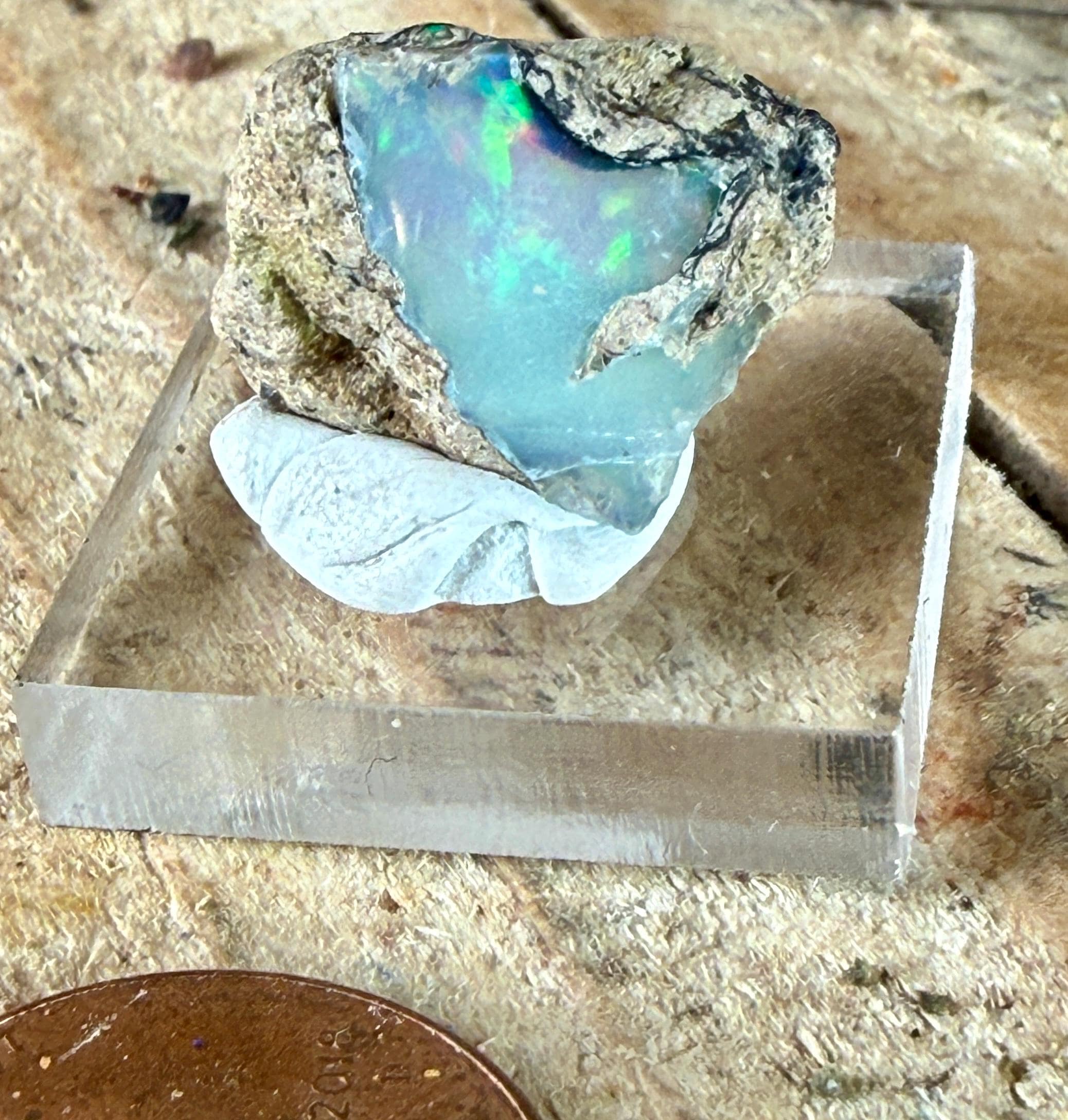 gallery photo