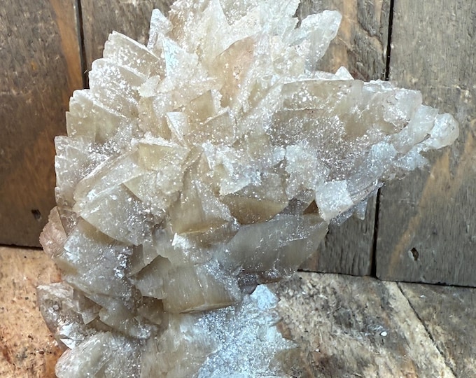 Raw Selenite Crystals from Mexico | Natural Selenite | Handpicked Mineral Specimens | Collector & Home Decor Display 2