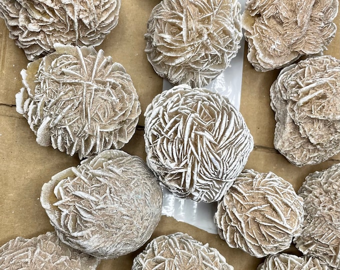 Beautiful Desert Rose Specimen, Desert Rose  , Desert Rose Selenite Gypsum from Mexico, Desert Rose  1