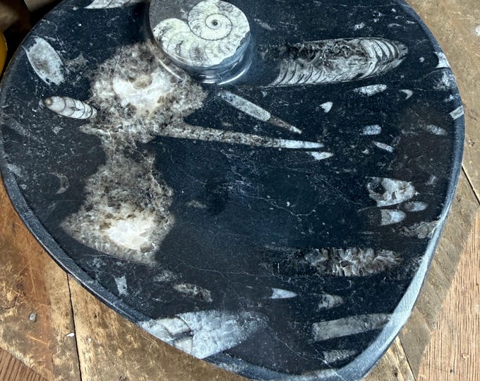 BIG Natural Ammonite and Orthoceras Fossil Heart Plate,  6.5 inches.