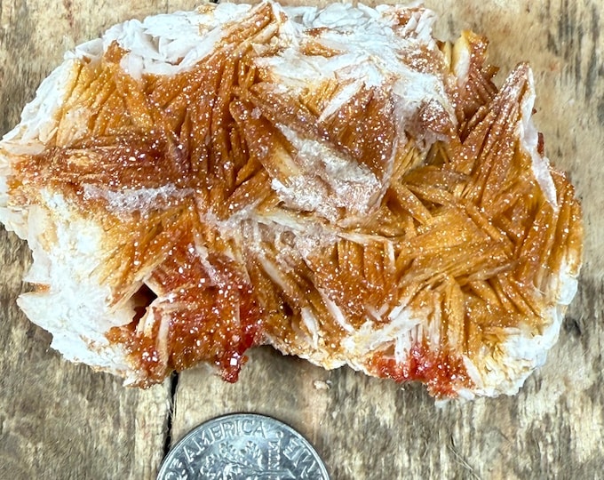 Vanadinite on Barite Crystal Cluster – Specimen from Morocco | Handpicked ,Collectors & Home Décor 2.2 inch