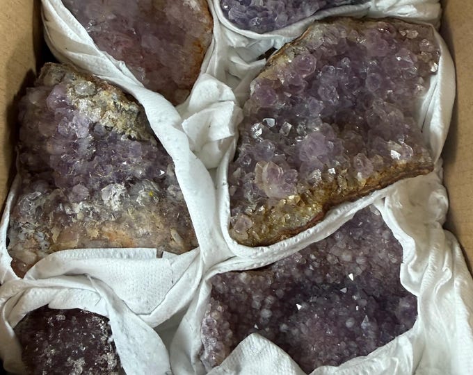 6 pcs flat Amethyst Specimen – Natural Raw Purple Druzy Cluster | Handpicked Crystal ,Collectors & Home Décor
