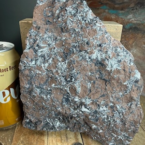 May include: A large, rough-hewn rock specimen with a reddish-brown matrix and striking silver and black crystalline formations. The rock is displayed on a wooden surface, with a can of root beer and a dime for scale.