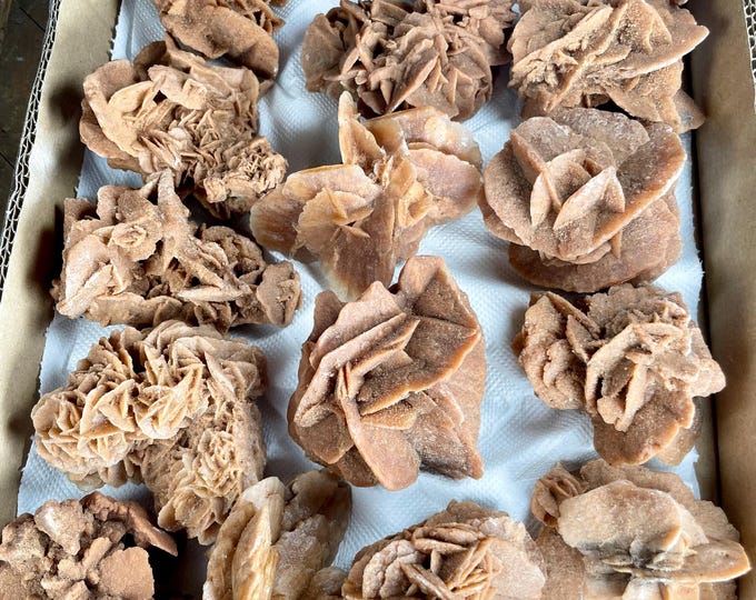 one Beautiful Desert Rose Specimen, Moroccan Desert Rose | Selenite | Specimen Cluster Desert Rose Selenite  Desert Rose ROW4-3