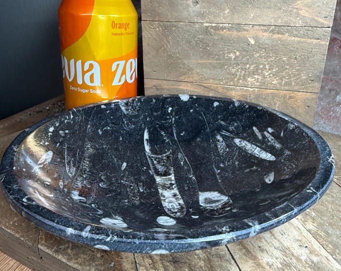 one Natural Orthoceras Polished Fossil Bowl, 7.8 inch