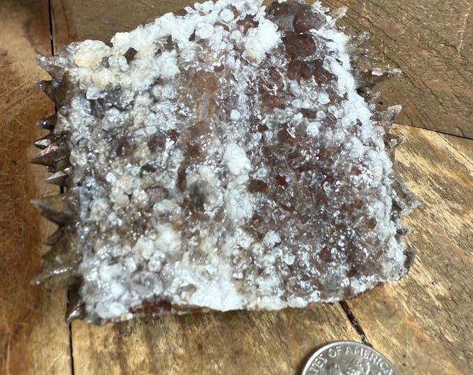 Rare Botryoidal Fluorite w/ Aragonite on Dogtooth Calcite | Unique Crystal Cluster | Handpicked Mineral Specimen | Mexico Display Piece 11