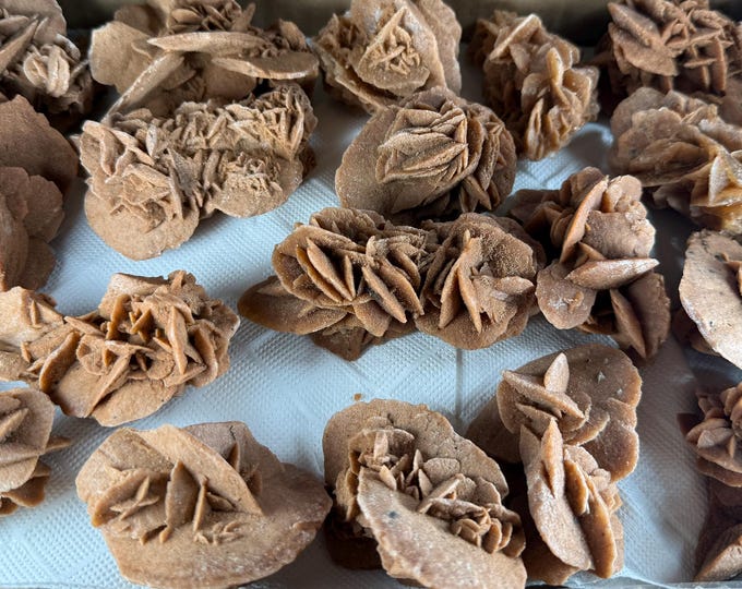 one Beautiful Desert Rose Specimen, Moroccan Desert Rose | Selenite | Specimen Cluster Desert Rose Selenite  Desert Rose ROW4-3