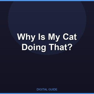 Why Is My Cat Doing That?