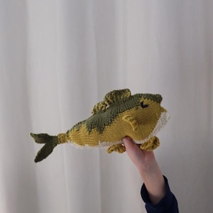May include: A knitted fish toy in olive green, yellow, and white. The fish features detailed fins and tail, with a textured appearance. The toy is held up against a white backdrop. The toy is handmade.