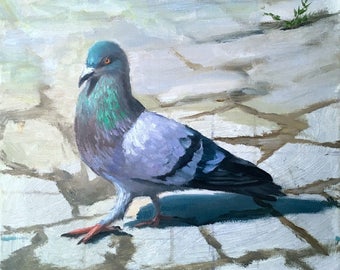 Non-Native Columba livia (pigeon)