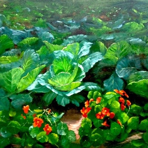 May include: A painting of a garden with green cabbage plants and orange flowers. The cabbage plants are in the foreground and the flowers are in the background.