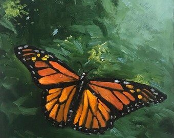 Native; Danaus Plexippus (monarch butterfly)