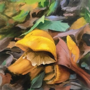 Mushrooms & Leaves