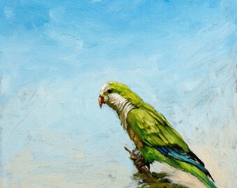 Greenwood Parakeet, print of an original oil painting