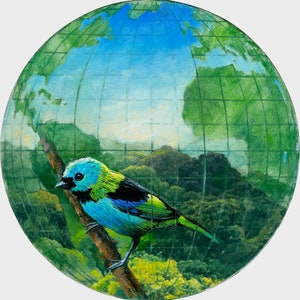 Bird World, Druck in limitierter Auflage