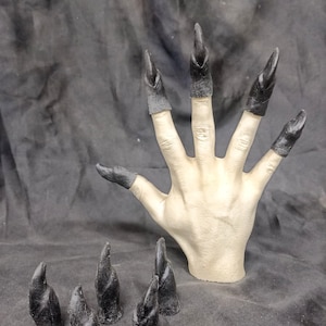 May include: A set of black plastic claw-like fingertip props. The props are designed to look like sharp, pointed claws. There are seven claws in total, with five on a white hand and two separate claws.