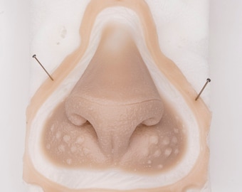 cat / lion nose prosthetics