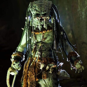 Pu&ograve; includere: Un costume da Predator verde e nero con una maschera dettagliata, dreadlocks e un perizoma di pelliccia. Il costume &egrave; accessoriato con dettagli in osso e metallo.