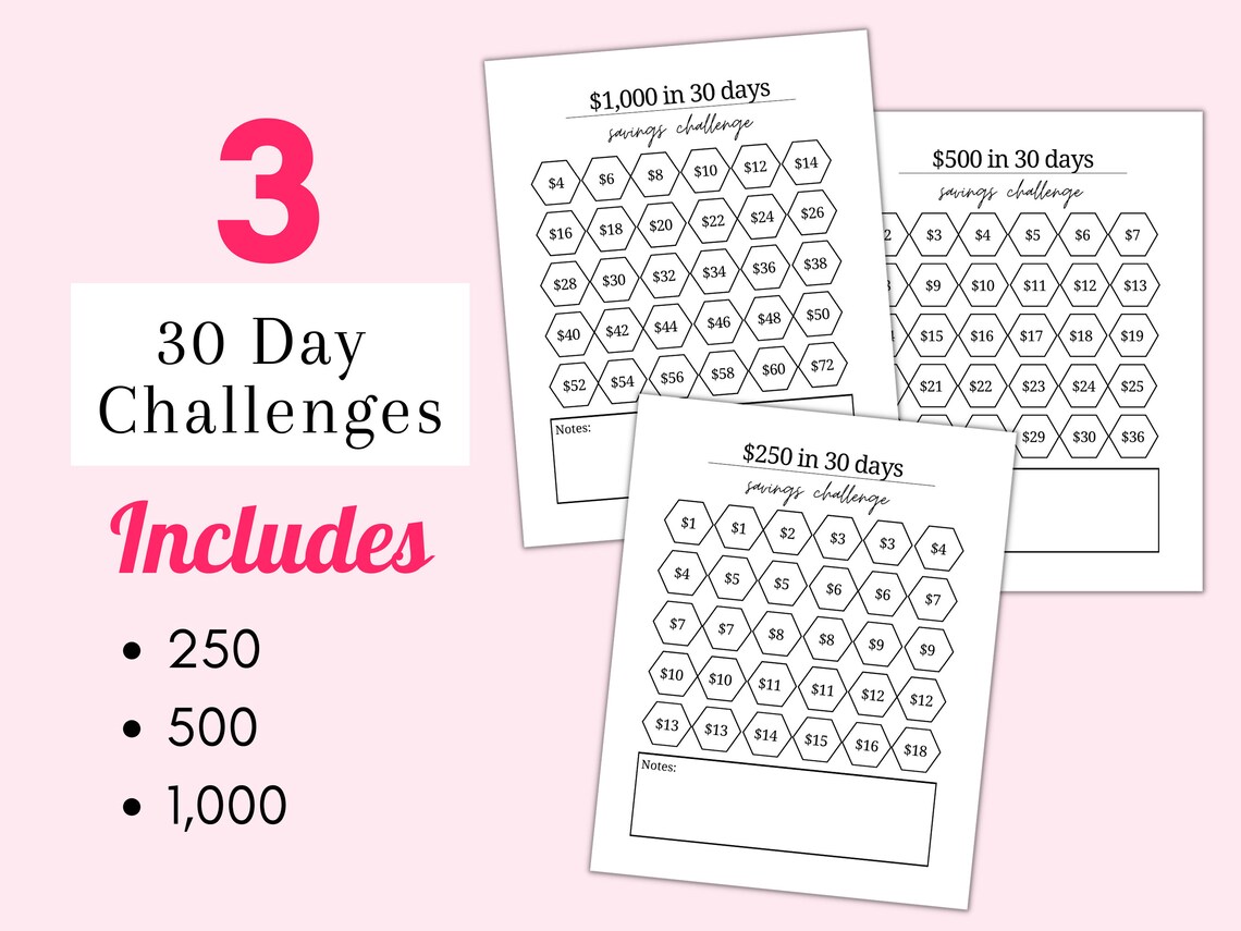 Savings Challenge Book 2023, 2024 Savings Challenge Bundle Digital Goodnotes Printable PDF ...